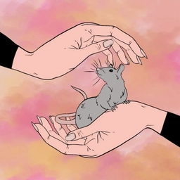 Аватар канала «Горячая линия "Крыса в беде"»