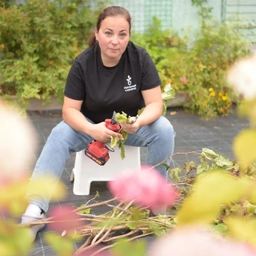 Аватар канала «Реальный садовод»