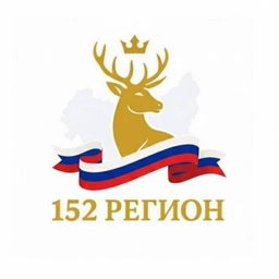Аватар канала «152 регион | Нижегор Обл, Бор, Дзержинск, Арзамас, Кстово»