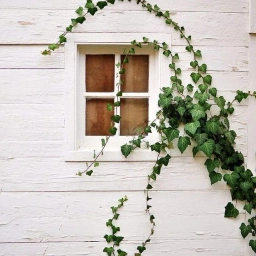 Аватар канала «Переделка мебели и аксессуаров Рестов-Ростов»