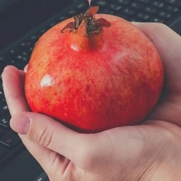 Аватар канала «РЕЦЕПТЫ ДИЕТОЛОГА»