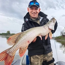 Аватар канала «Рыбалка с Разведкой»