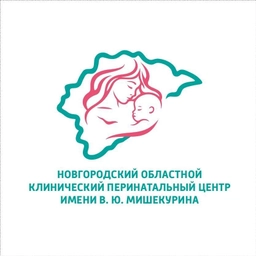 Аватар канала «Новгородский перинатальный центр»