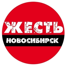 Аватар канала «Жесть Новосибирск»