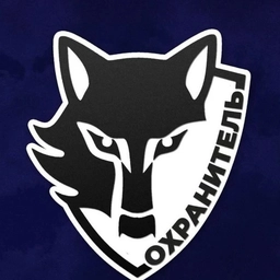 Аватар канала «Охранитель»