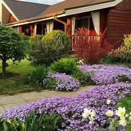 Аватар канала «Ландшафтный дизайн.Идеи для сада.»