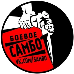 Аватар канала «БОЕВОЕ САМБО II MMA, UFC»