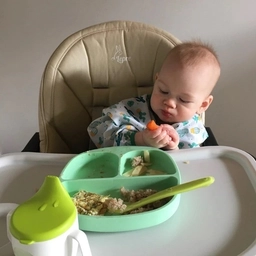 Аватар канала «Самоприкорм»