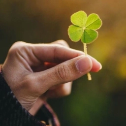 Аватар канала «О Счастье - просто»