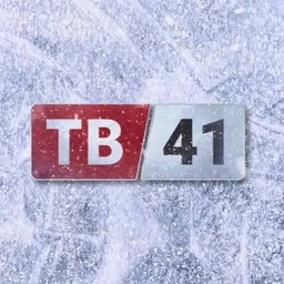 Аватар канала «Щёлковское телевидение»