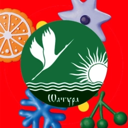 Аватар канала «Администрация муниципального округа Шатура»