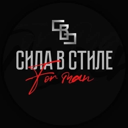 Аватар канала «Сила в Стиле»
