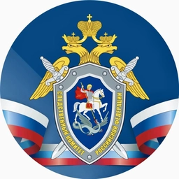 Аватар канала «Следком38»