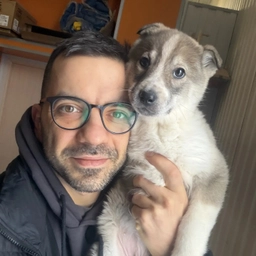 Аватар канала «SobakaFun»