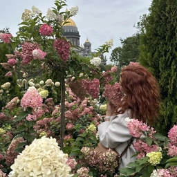 Аватар канала «Соня Гельд. Просто. Элегантно. Со вкусом»