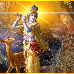 Аватар канала «Океан Ведической Мудрости»