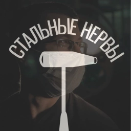Аватар канала «Стальные Нервы»