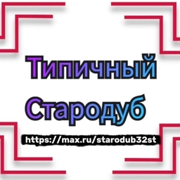 Аватар канала «Типичный Стародуб»