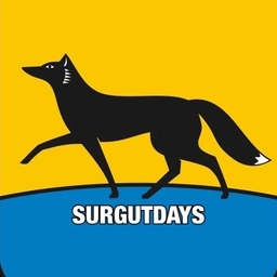 Аватар канала «Сургут/ХМАО»