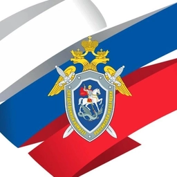 Аватар канала «Тамбовский Следком»