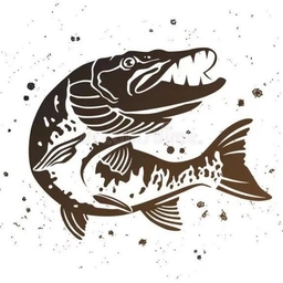 Аватар канала «В САДКЕ - Рыбалка Хабаровский край и ДВ»