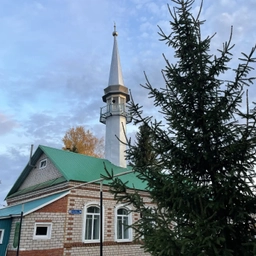 Аватар канала «Подслушано татарлар»