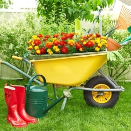 Аватар канала «САД | ОГОРОД | ДАЧА»