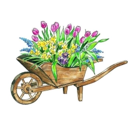 Аватар канала «уДачи на Даче, а как же иначе? ДАЧА | САД | ОГОРОД | Участок»