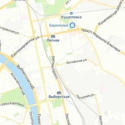 Аватар канала «Лесная - Выборгская»