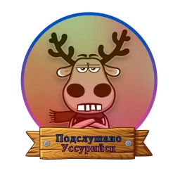 Аватар канала «Уссурийск»