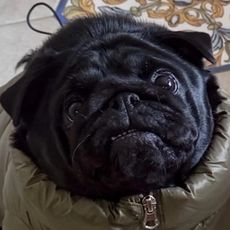 Аватар канала «Katechkina»