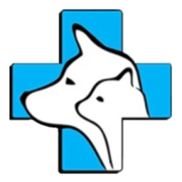 Аватар канала «Ветеринар Бубликова Юлия | питомцы, животные, кошки, собаки»