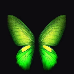 Аватар канала «Вики Маус | Цветы, растения, обзор на товары, путешествия»