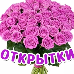 Аватар канала «Поздравления и открытки»