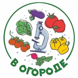 Аватар канала «В Огороде»