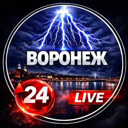Аватар канала «ВОРОНЕЖ Live»
