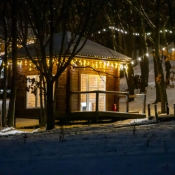 Аватар канала «Чаща»