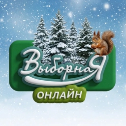 Аватар канала «Выборная online (Новосибирск)»