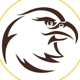 Аватар канала «Орлиный взор»