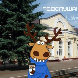 Аватар канала «Подслушано в Зверево»