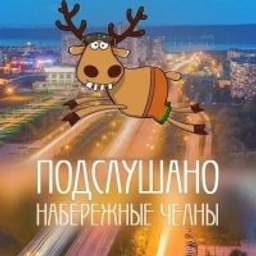 Аватар группы «Подслушано Набережные Челны»
