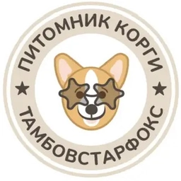 Аватар канала «Корги»