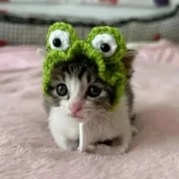 Аватар канала «Шерстяные проказники | Коты Котики Мяу Юмор Животные Кошки Смешные Коты Видео Фото Забавные Моменты Питомцы Хвост Домашние Любимые Коты Котятки Милота Ежедневный Контент»