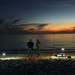 Аватар канала «Камбала чат»