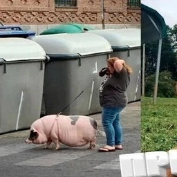 Аватар канала «Хиханьки да хаханьки»