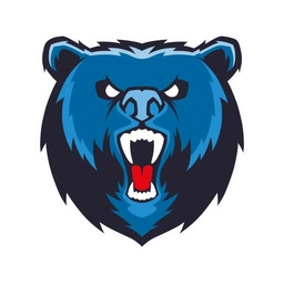 Аватар канала «Ярость. Новости Ярославля»