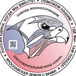 Аватар канала «Помощь мобилизованным Ярославской области»