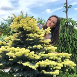 Аватар канала «Юлин сад»