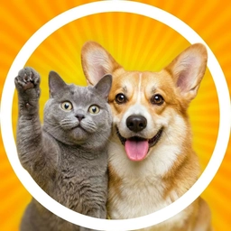 Аватар канала «Забавные животные»