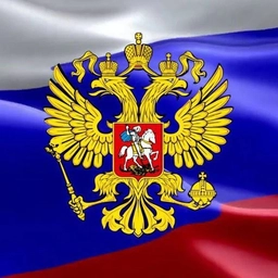 Аватар канала «СВО 2024»